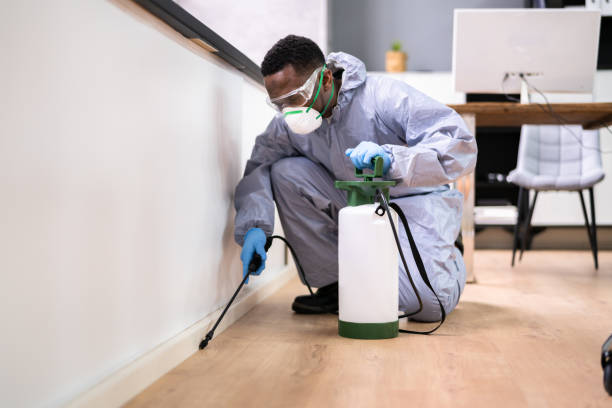 Indoor Pest Control in South Taft, CA